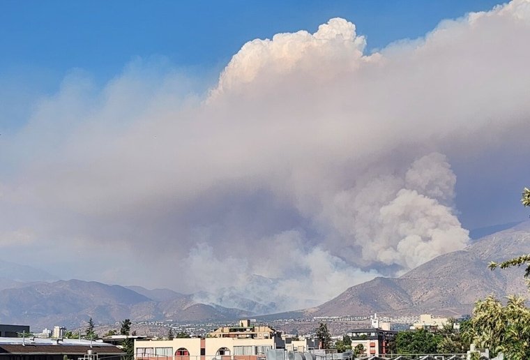 Incendios en el sur de Chile y el modelo forestal
