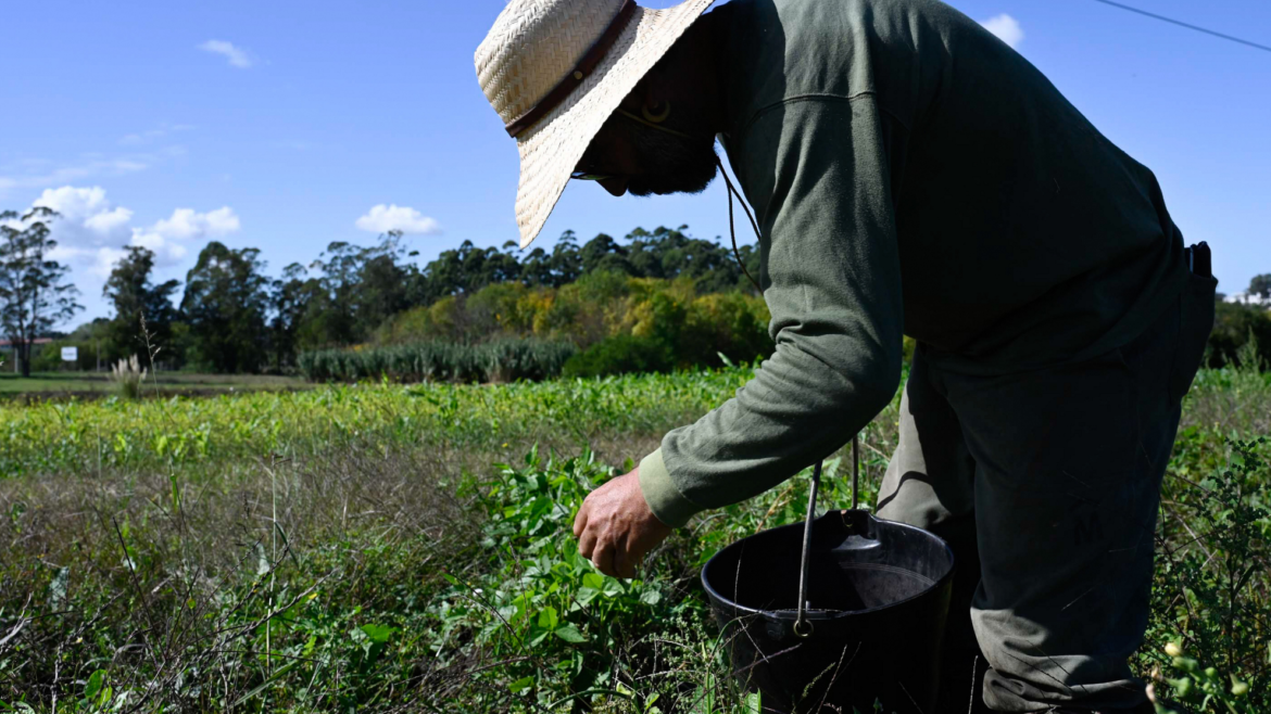 trabajador rural