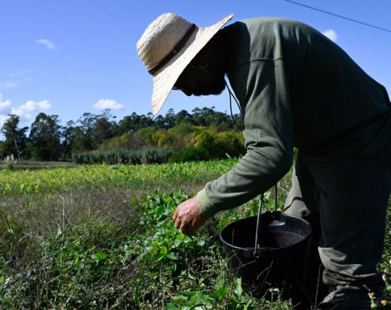 trabajador rural