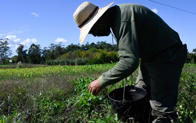 trabajador rural