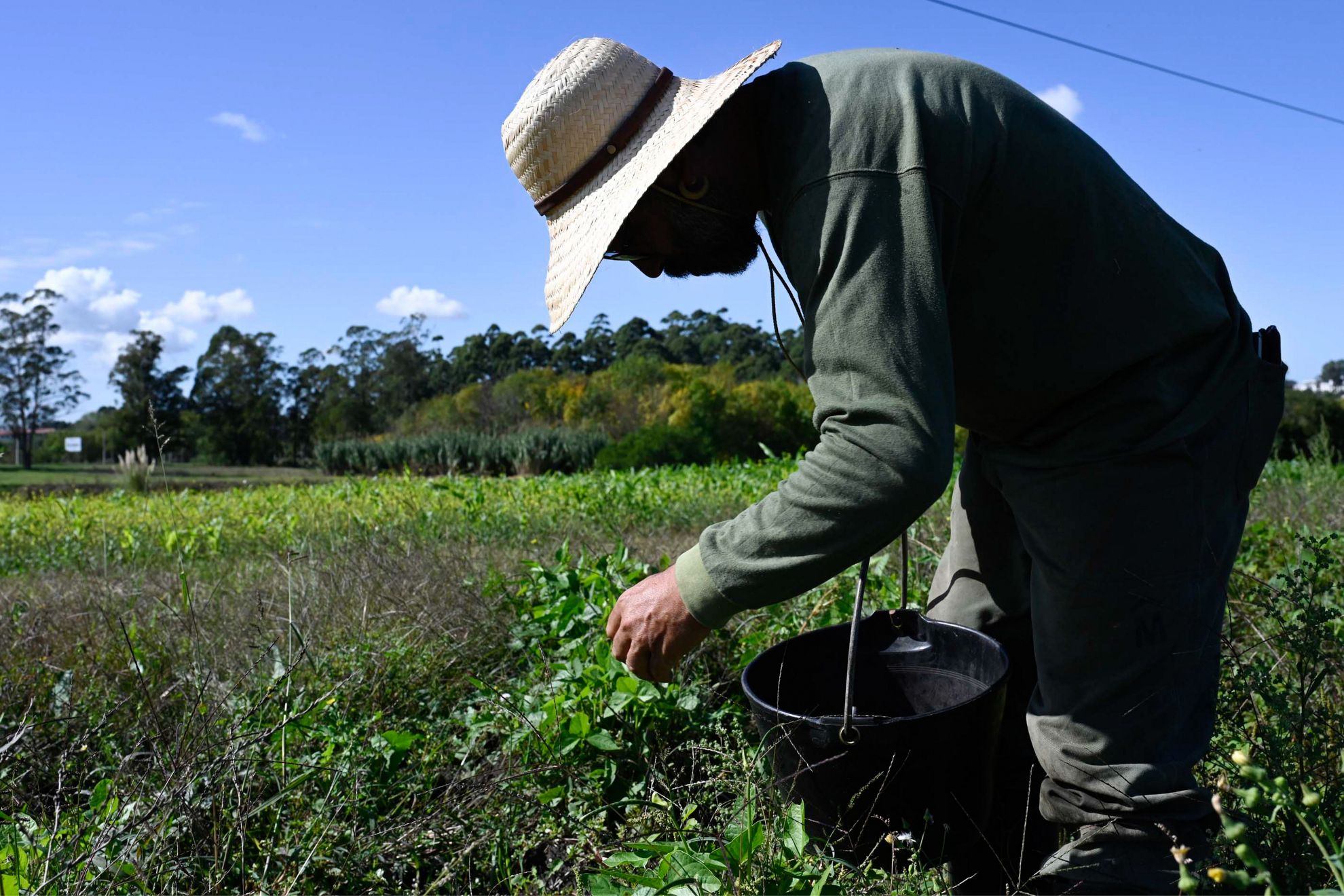 trabajador rural