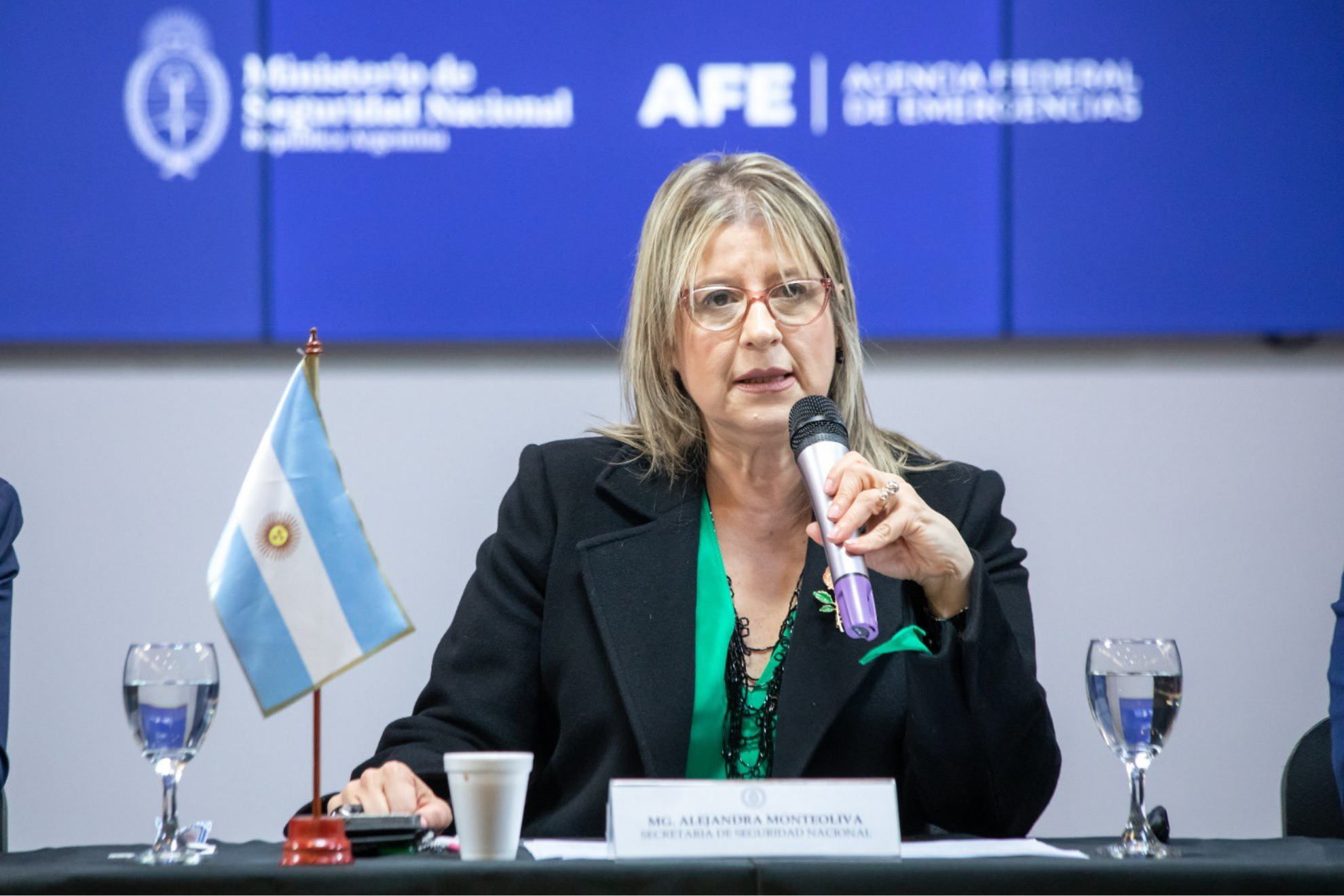 Alejandra Monteoliva, ministra de Seguridad Nacional de Argentina,