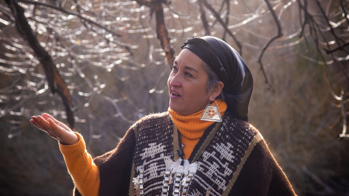 Moira Millán es una histórica referente mapuche, activista y escritora (Foto: Ivanna Legler)