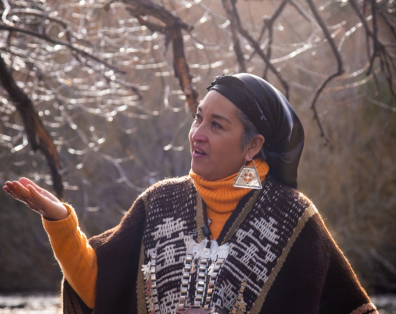 Moira Millán es una histórica referente mapuche, activista y escritora (Foto: Ivanna Legler)