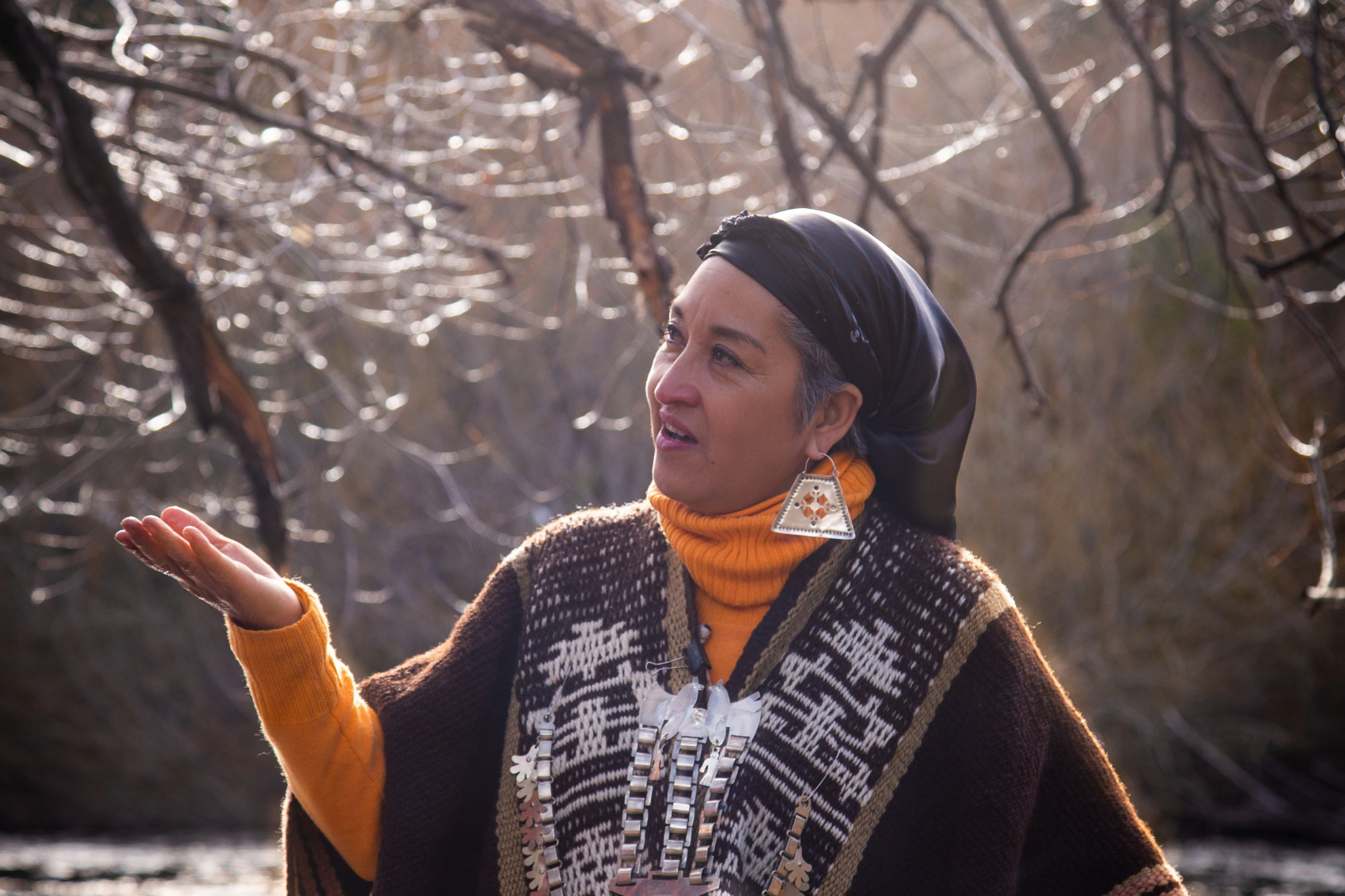 Moira Millán es una histórica referente mapuche, activista y escritora (Foto: Ivanna Legler)