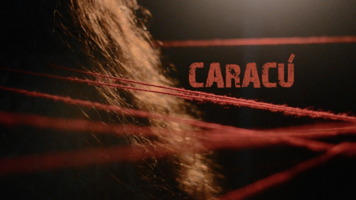 «Caracú para no olvidar» es un videoensayo de Sandra Toledo y Darío Leiva. El mismo consiste en el testimonio de Sandra Toledo, fotógrafa y nieta de migrantes paraguayos, en el que relata una historia familiar atravesada por la violencia de género.