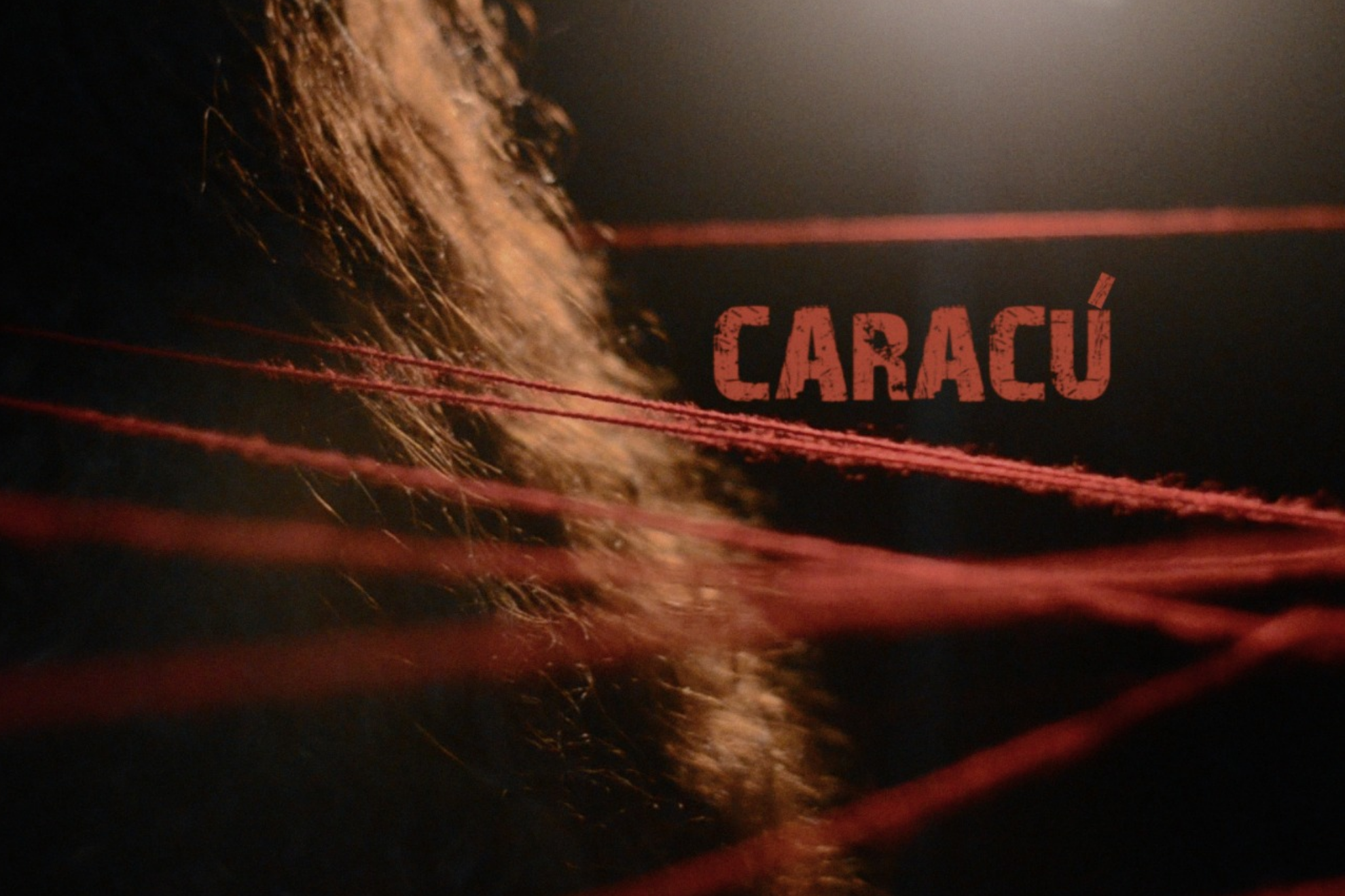 «Caracú para no olvidar» es un videoensayo de Sandra Toledo y Darío Leiva. El mismo consiste en el testimonio de Sandra Toledo, fotógrafa y nieta de migrantes paraguayos, en el que relata una historia familiar atravesada por la violencia de género.