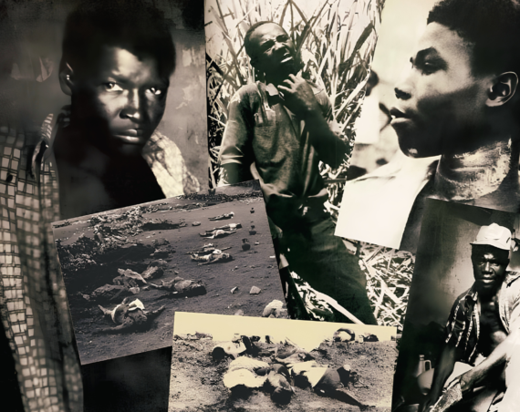 Montaje de fotografías en blanco y negro de braceros haitianos y de cuerpos tendidos sobre la tierra